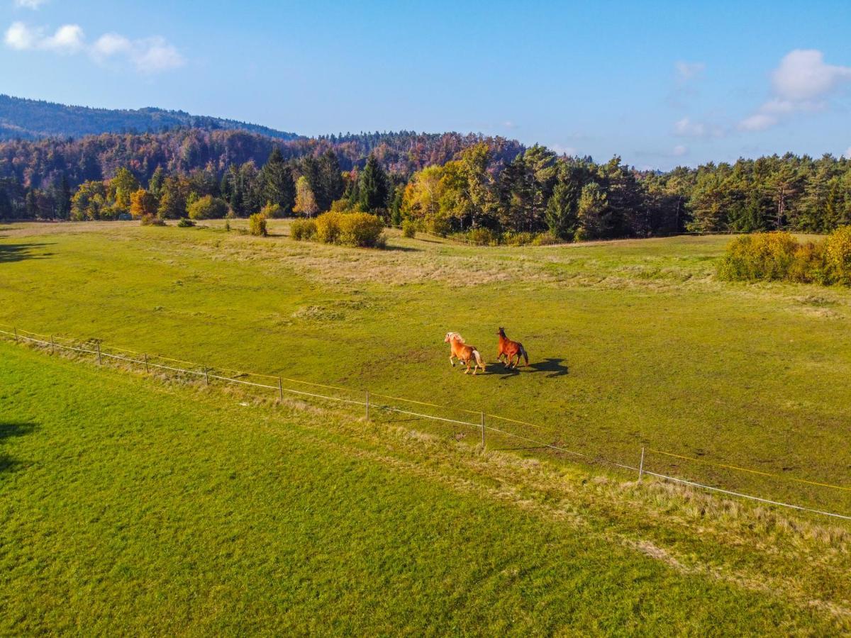 Notranjska Hisa - Traditional Country House, Close To The World Attraction Cerknica Lake Begunje pri Cerknici Bagian luar foto