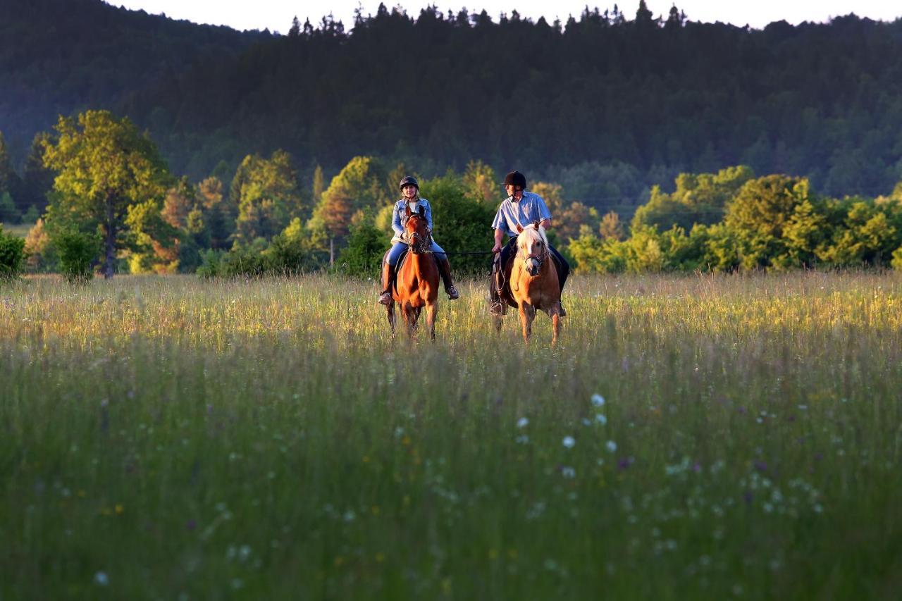 Notranjska Hisa - Traditional Country House, Close To The World Attraction Cerknica Lake Begunje pri Cerknici Bagian luar foto