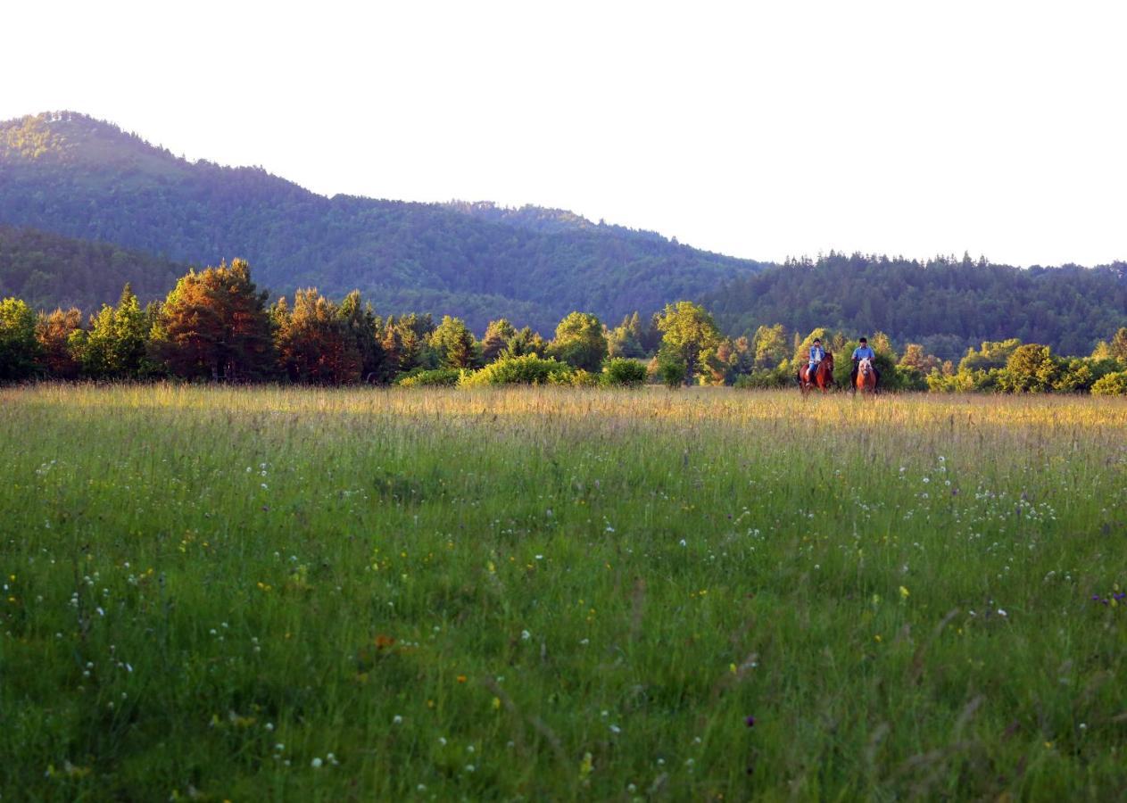 Notranjska Hisa - Traditional Country House, Close To The World Attraction Cerknica Lake Begunje pri Cerknici Bagian luar foto