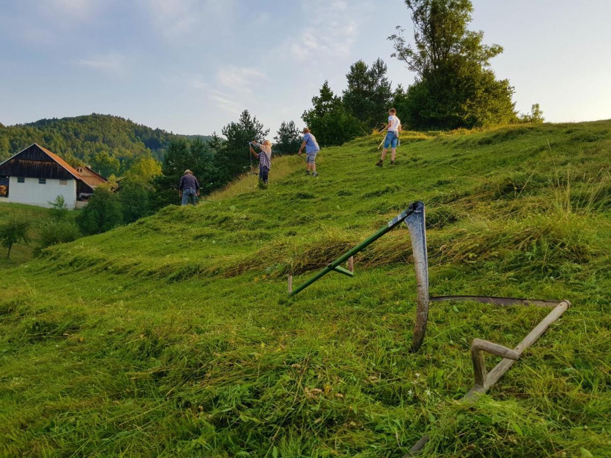 Notranjska Hisa - Traditional Country House, Close To The World Attraction Cerknica Lake Begunje pri Cerknici Bagian luar foto