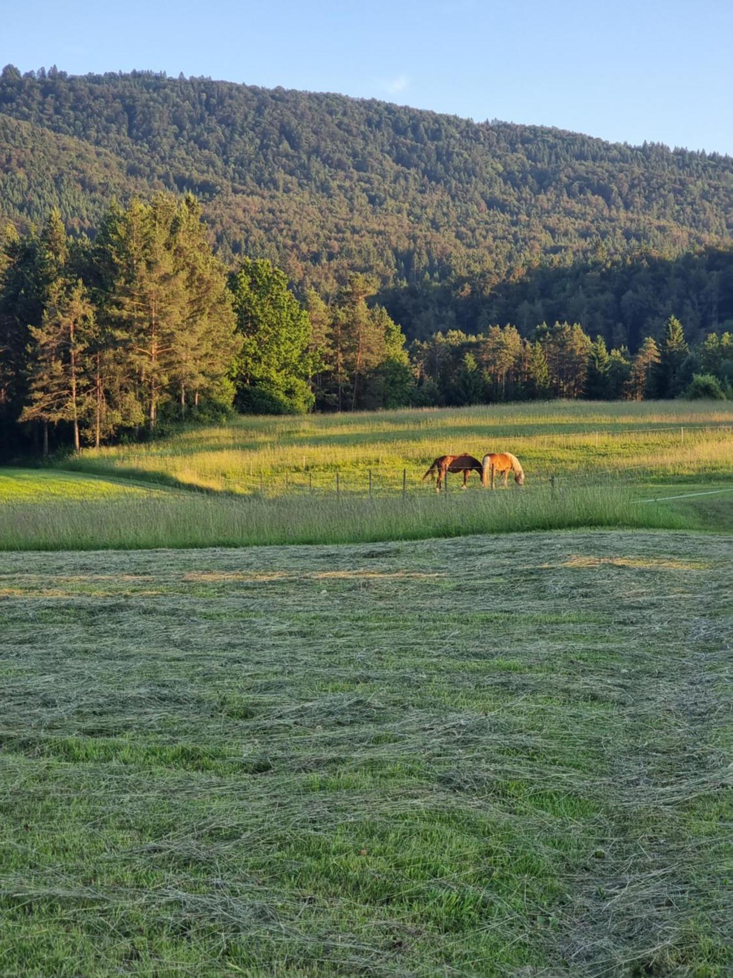 Notranjska Hisa - Traditional Country House, Close To The World Attraction Cerknica Lake Begunje pri Cerknici Bagian luar foto